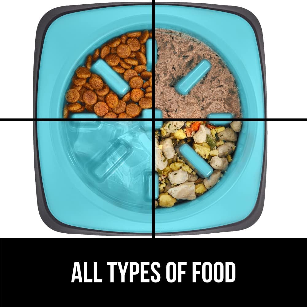 GORILLA GRIP Stainless Steel Dog Bowls, 1Cup, Turquoise and Slow Feeder, 1Cup, Turquoise Bundle