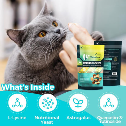 Pets Cat Immune Chews - 60 Count | Immune System Support for Cats | Antioxidant-Rich Formula with Essential Nutrients