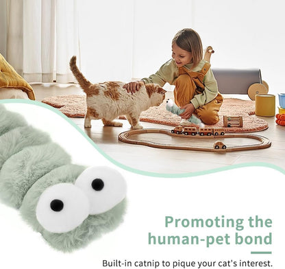 2BB Cat Toy Pillow - Zippered Kitten Toy, containing Catnip, Loud Paper, attracting Kitten to Play, 12.5 inches 3 Packs (Green, Pink)