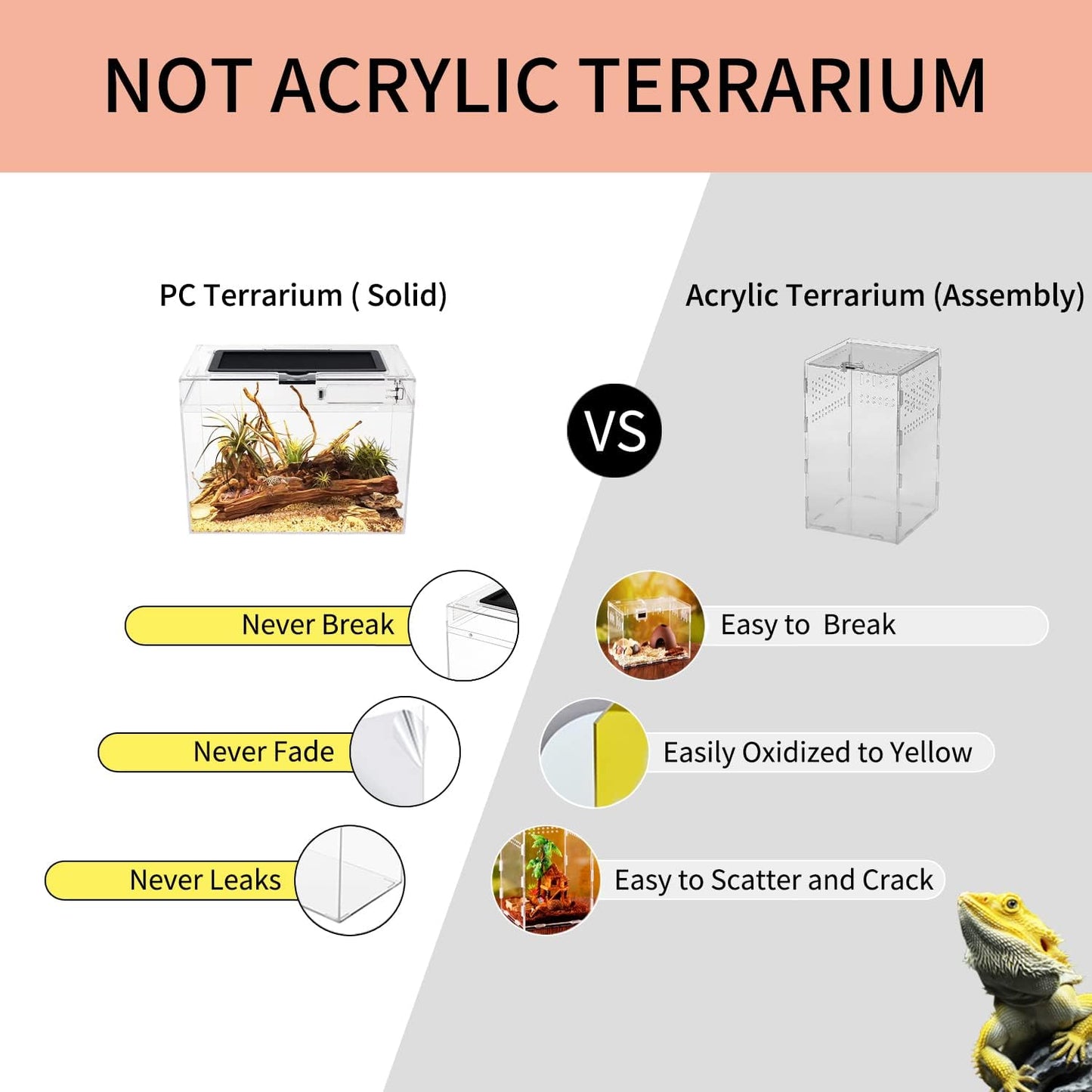 Mini Reptile Terrarium,12" x 7"x 9" Reptile Tank with Full View Visually Appealing，for Insect，Fish，Tarantula，Hermit crab，Jumping spider，Iguana，Tortoise，Leopard Gecko，Frog，Bearded dragon