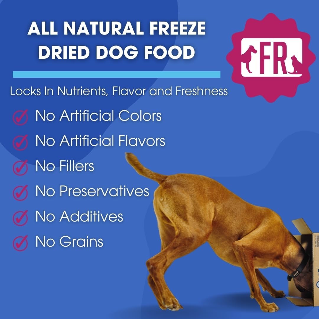 Freeze-Dried Raw Dog Food – Beef – High Protein, Grain-Free, No Fillers or Additives, Meal Mixer or Topper, Supports Healthy Digestion, Joints, and Coat – 14 oz