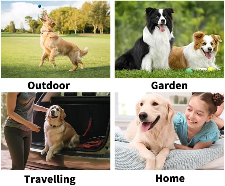 Disposable pet Cleaning Gloves Wet Wipes, Suitable for Daily Cleaning and Travel use. Two Packs of unscented Glove Wet Wipes (Blue Packaging, 12 Pieces Each)