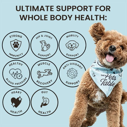 The Pets Table 8-in-1 Soft Chews Chicken Flavored All in One Supplement for Dogs - Dog Multivitamin Supports Mobility, Gut & Heart, 50 Chews