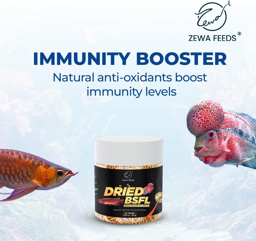 Dried Black Soldier Fly Larvae - 100% Natural Protein Rich Fish Food for Arowana, Flower Horn, Oscar, Redtail Shark (20 g/ 0.7 Oz/100 ml) (Pack of 2)