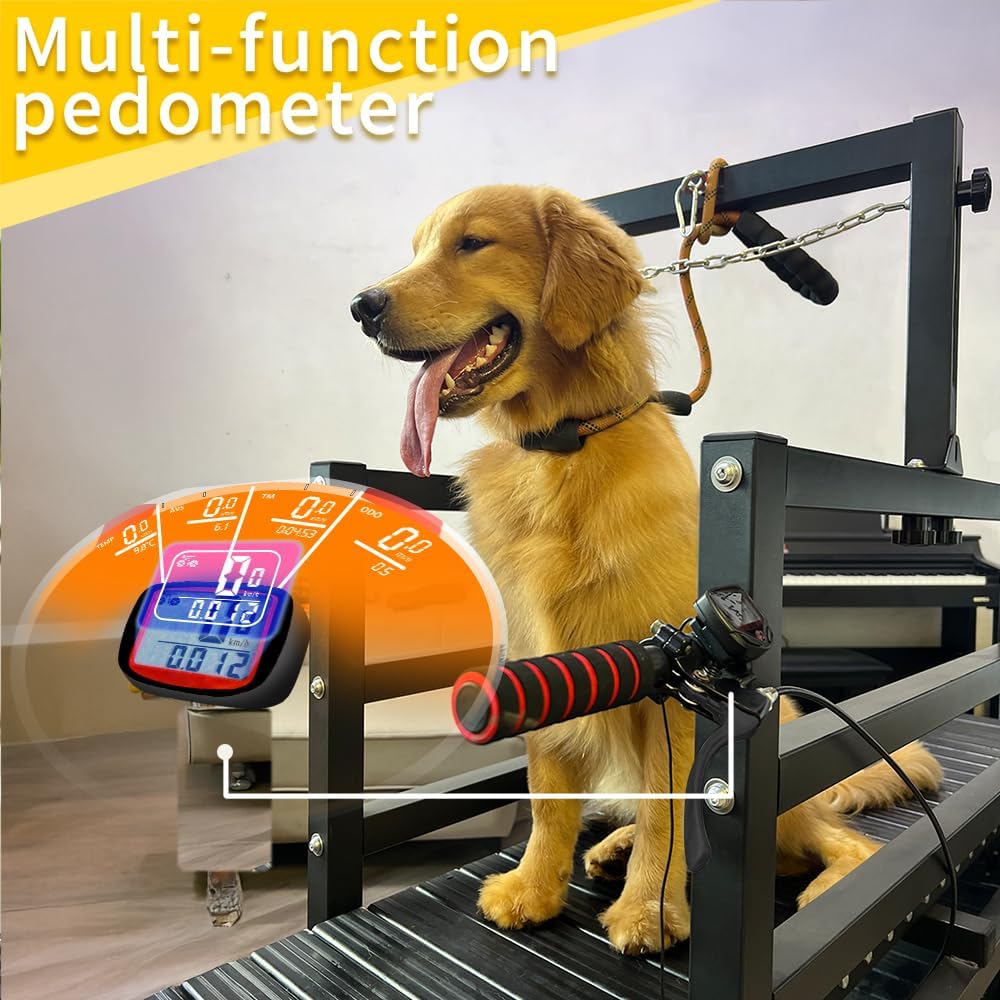 Dog Treadmill with Disc Brake, Resistance Adjustment & Paw-Friendly PE Slatmill - Heavy Duty Dog Treadmill for Large & Medium Dogs, Supports Up to 300 lbs, Easy to Move for Indoor & Outdoor Use