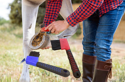 WHZAZGW 2 Pieces Horse Hoof Pick Brush with Soft Touch Rubber Handle,Portable Hoofpick,Random Colors