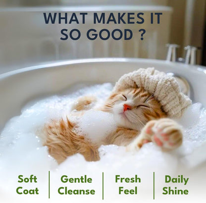 2-in-1 Cat Shampoo and Conditioner – Persian Cat Shampoo – Kitten Shampoo for Cats – Cat Shampoo for Dandruff – Pet Shampoo for Cats with Aloe Vera, Coconut & Walnut – 10.14floz