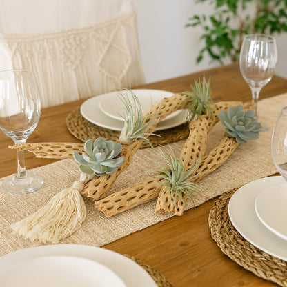 Koyal Wholesale 24" Cholla Wood Aquarium Leopard Gecko Tank Accessories Untreated Large Driftwood for Aquarium Wood Hermit Crab Accessories Drift Wood for Shrimp Tank Gecko Accessories