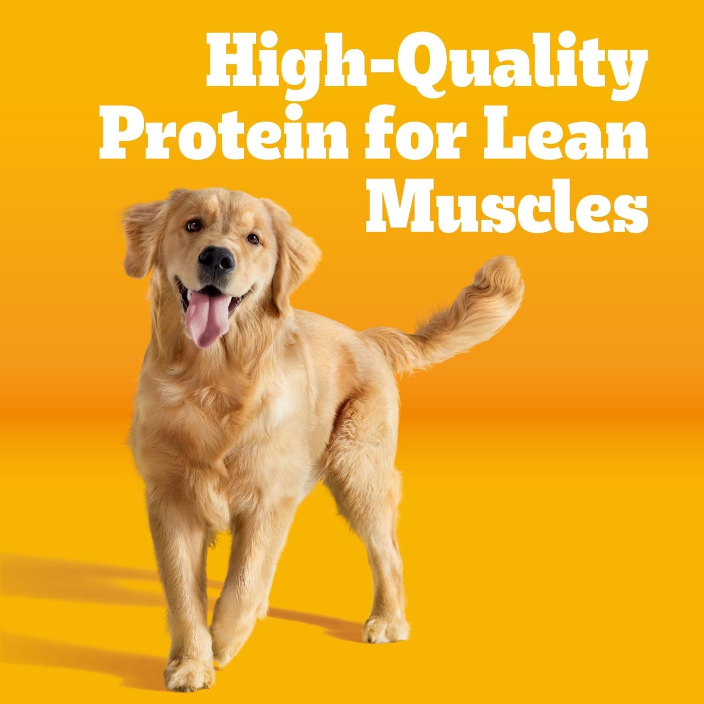 Pedigree Complete Nutrition Adult Dry Dog Food, Grilled Steak & Vegetable Flavor, 18 lb. Bag