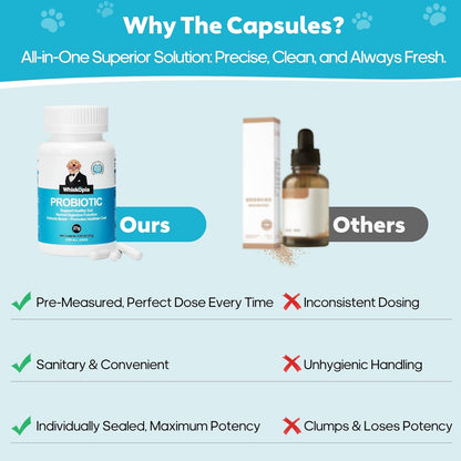 Probiotics for Dogs, Dog Probiotics with Digestive Enzymes with and Prebiotics for Support Gut & Digestion Health, Immune Support, Reduce Diarrhea, 60 Capsules