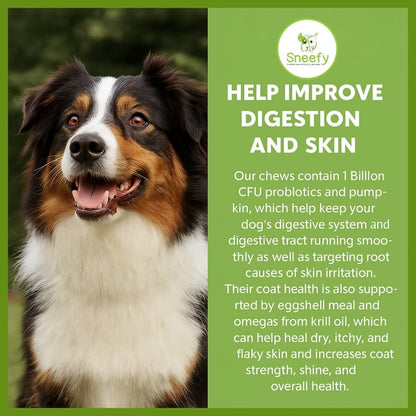 Dog Multivitamin, Chewable Dog Vitamins and Supplements for Hip & Joints, Skin & Coat, Omega 3 Fish Oil for Dogs- Senior & Puppy Multivitamin - Salmon- 120 Soft Chews