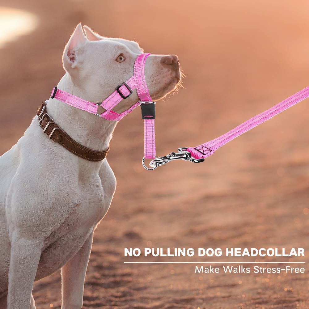 No-Pull Dog Headcollar - Reflective Halter Collar for Dogs, Padded Head Collar to Stop Heavy Pulling, Anti-Pull Muzzle Leash (Pink, Medium)