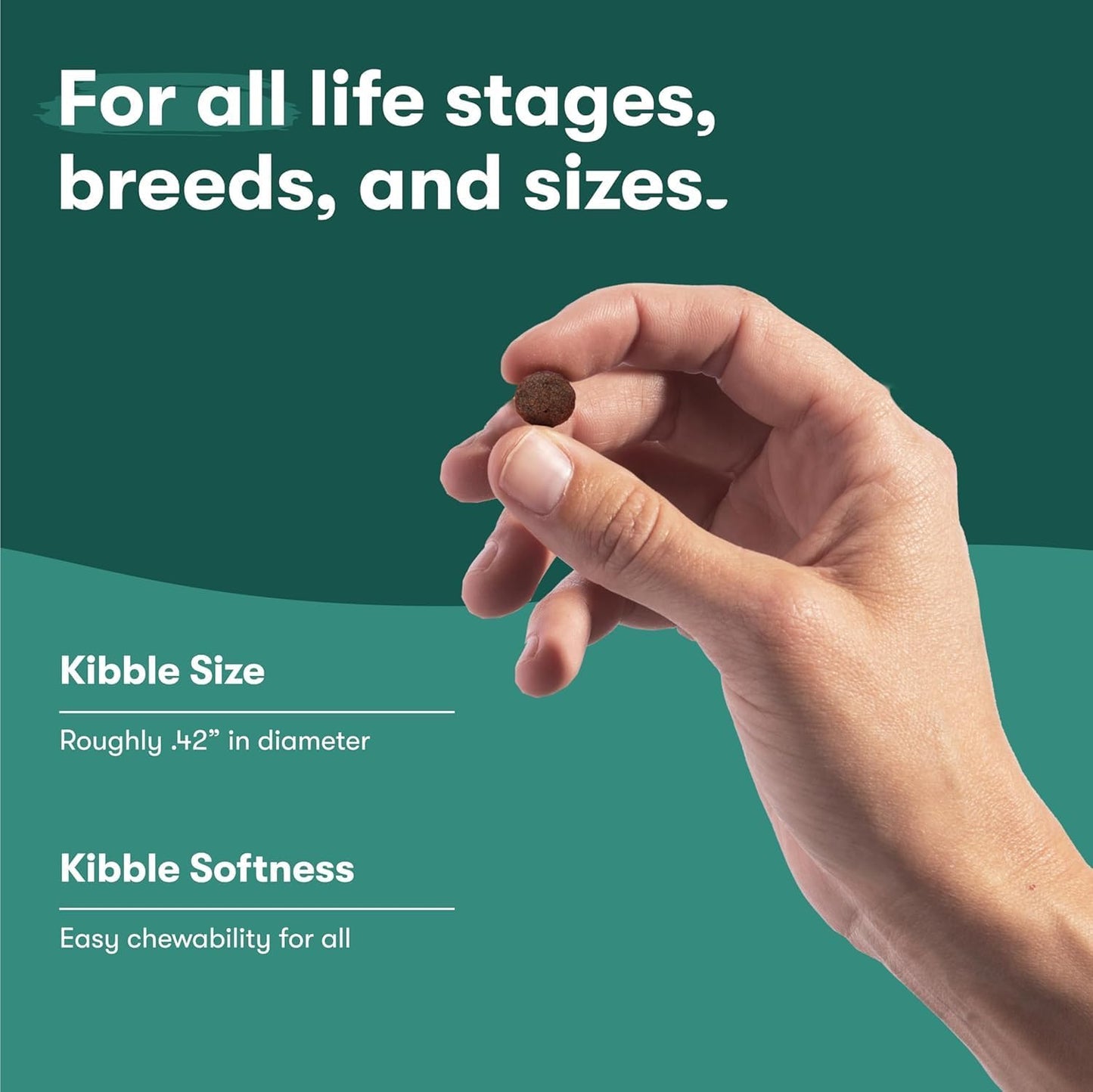 Jinx Dog Food Bundle - 11.5lb Salmon Dry Dog Food, 6-Pack Homemades Salmon Wet Topper & 3oz Freeze-Dried Meal Topper