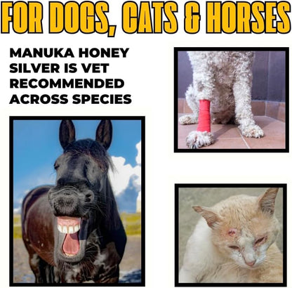 Well-Being Manuka Honey Silver Rapid Wound Repair Ointment for Dogs, Cats and Horses Superior Healing Qualities for Rapid Repair of Cuts, Surgical Inscisions, Abrasions Prevents Infection 2 Ounce