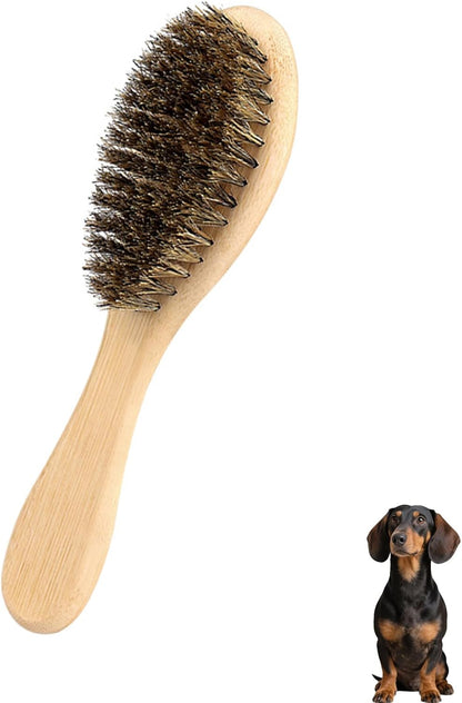 Soft Boar Bristle Dog Brush for Short Haired, Gentle Deshedding & Grooming Tool, Ideal Pet Hair Brush, Puppy Essentials for Grooming and Shedding, Small