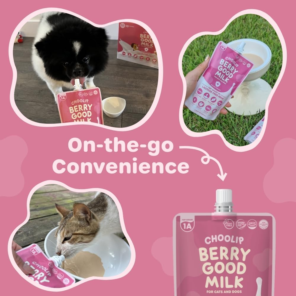 Choolip Berry Good Milk – 10-Pack Lactose-Free Vitamin Milk for Cats & Dogs | Vet-Formulated Pet Drink Supporting Urinary, Joint & Digestive Health | Grain-Free, Ready to Serve