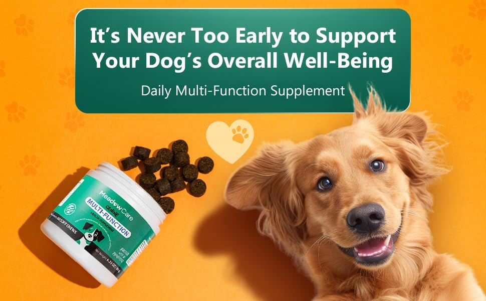 Multi-Function Supplement for Dogs | Supportive Daily Nutritional Soft Chews | Joint Mobility, Skin & Coat | Immune Support with Probiotics | 60 Count, 180 g (6.35 oz) | by Meadowcare