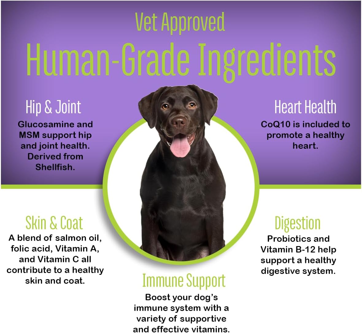 Dog Multi Vitamins, Made in USA with Human Grade Ingredients, Probiotic Supplement, All-in-One to Support Joints, Digestion, Immunity, Heart Health, Skin & Coat, 60 Chews (1 Pack)