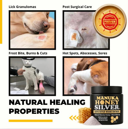 Well-Being Manuka Honey Silver Rapid Wound Repair Ointment for Dogs, Cats and Horses Superior Healing Qualities for Rapid Repair of Cuts, Surgical Inscisions, Abrasions Prevents Infection 2 Ounce