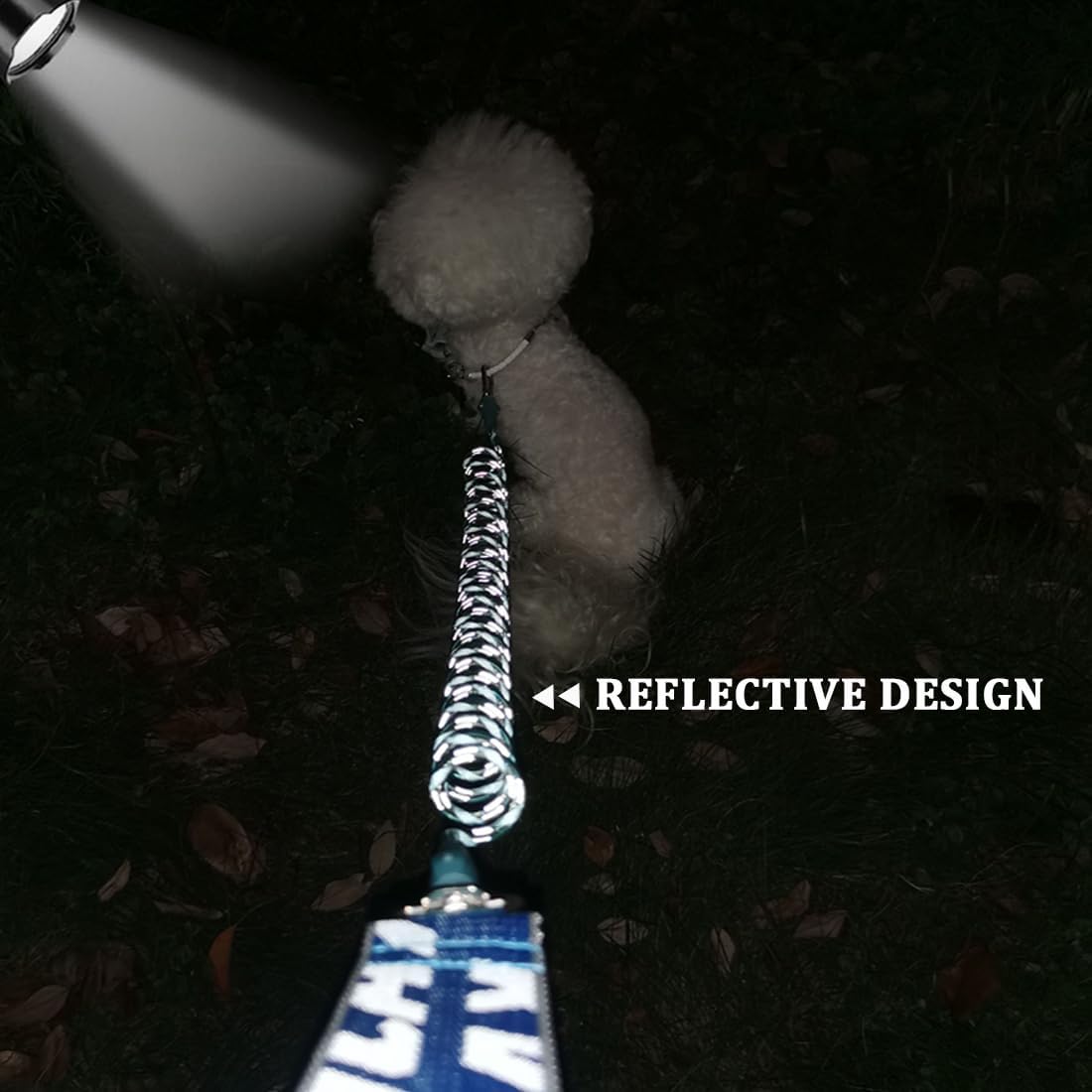 WYuZe 5FT Puppy Leash + Chew Proof Dog Leash with Shock Absorption for Small Dogs, Blue