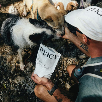 Maev Human-Grade Freeze Dried Raw Beef Liver Treats | 100% USDA Certified Single-Ingredient | Healthy, Human-Grade Dog Snacks | Perfect for Training & Sensitive Diets