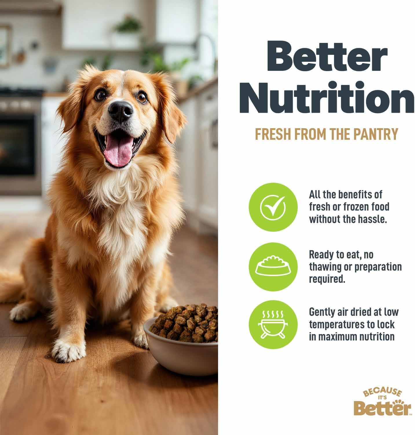 Because It's Better Slow Baked and Air Dried Dog Food, Real Chicken and Veggies, 1lb Bag, Complete and Balanced Dry Dog Food, for All Life Stages