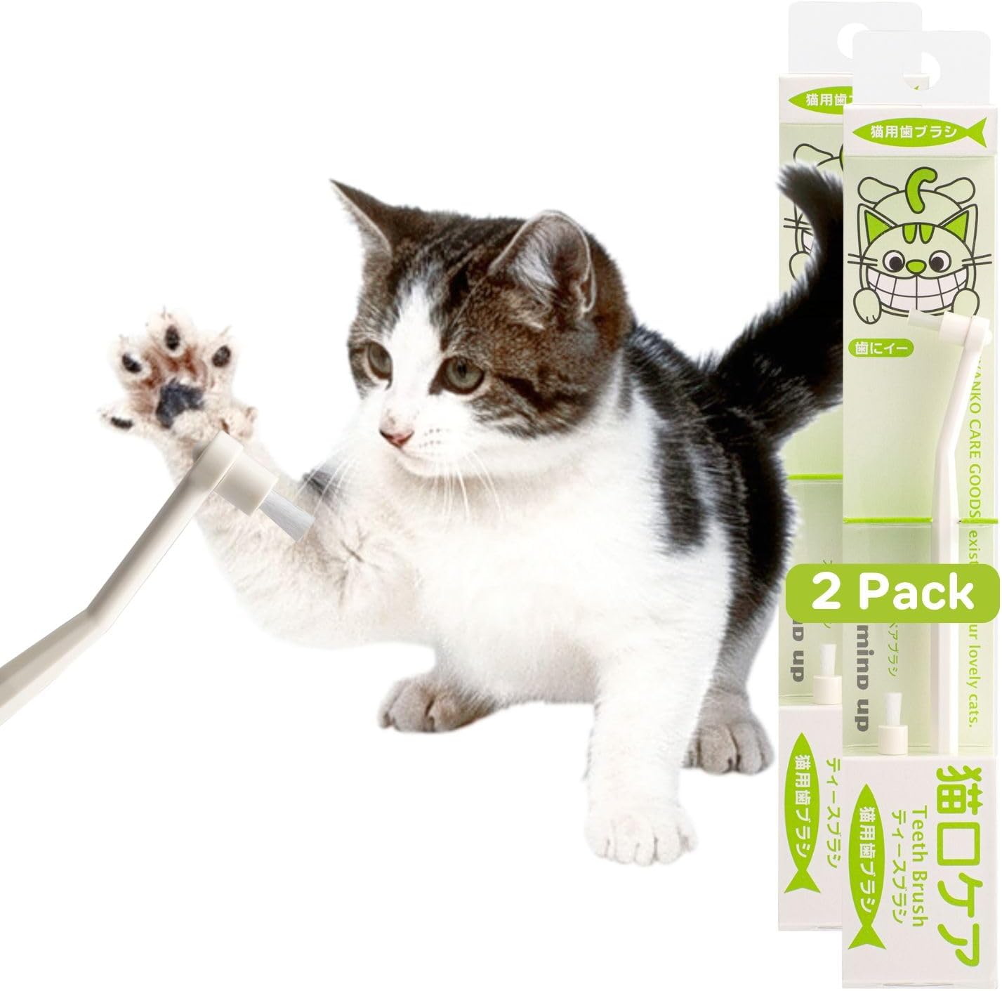 MIND UP 2 Pack Toothbrush for Cats with Detachable Head, 15° Angled Handle for Comfortable Brushing, Includes Spare Brush, Effective Pet Dental Care, Made in Japan