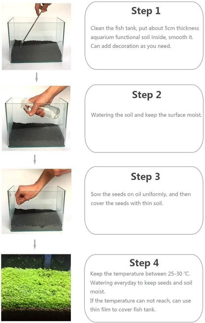 4 Bags Aquarium Plant S.e.e.ds, not Artificial Plastic Plant, Fish Tank Live Grass for All Substrate