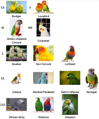 Bird Collar - Anti-Bite Elizabethan Recovery Cone Feather Plucking Protector Skin-Friendly Neckwear for Parakeets Conures Cockatiels Lovebirds Budgies Cockatoos African Grey Random Color (M)