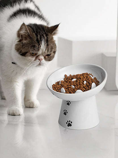 Y YHY Slow Feeder Cat Bowl, Ceramic Cat Slow Feeder Bowl, 6 Inches, Elevated, Anti Vomiting for Dry and Wet Food, White