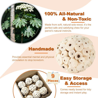 Bird Toys - Sola Ball Foraging Box Bundle with 9Pcs Small Natural Sola Balls for Extra Cage Enrichment, Ideal for Parakeets/Cockatiels/Conures/Lovebirds and Small to Medium Birds