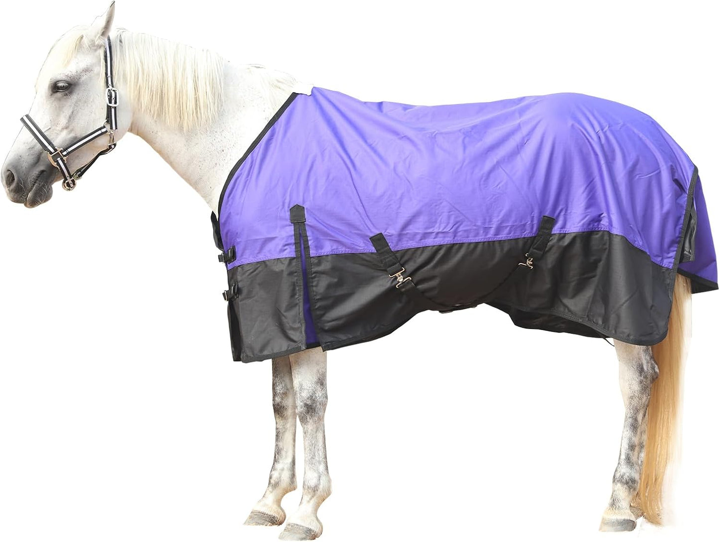 600 Denier Rip-Stop Horse Rain Sheet Lightweight Waterproof and Breathable Turnout Horse Blanket (No Fill) Violet/Black 78
