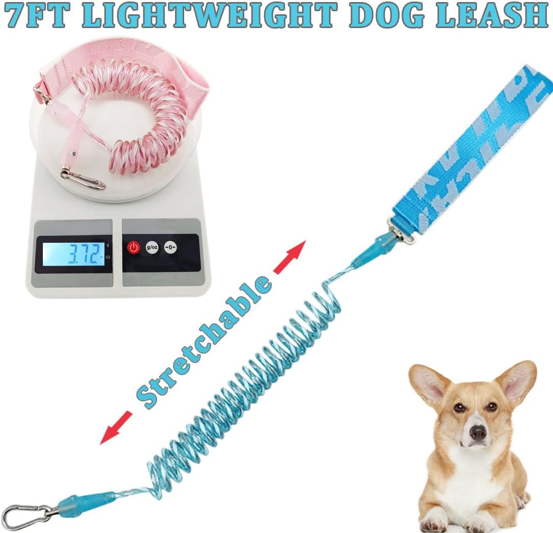 WYuZe 5FT Puppy Leash + Chew Proof Dog Leash with Shock Absorption for Small Dogs, Blue