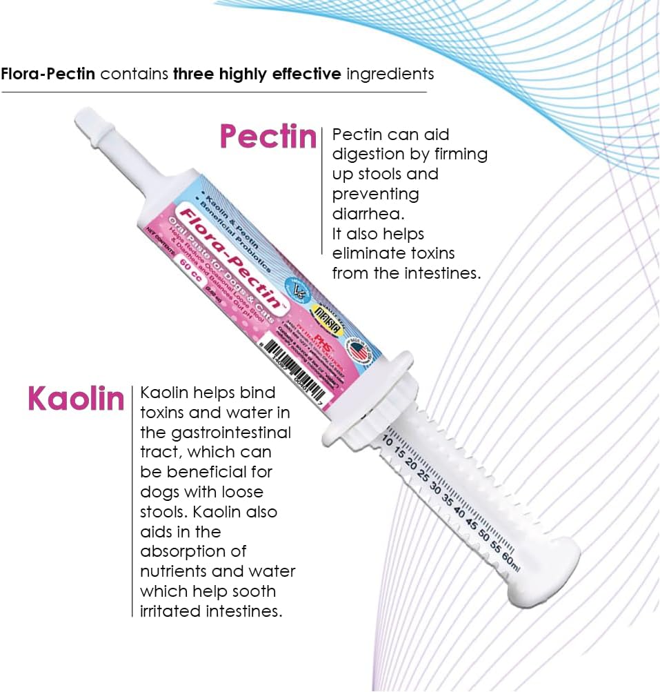 Oral Paste for Dogs & Cats-Helps Reduce Occasional Loose Stool & Diarrhea, Balance Gut pH, Support Normal Digestion & Intestinal Flora-Fast Acting (15 CC - Tasty Chicken Flavor)