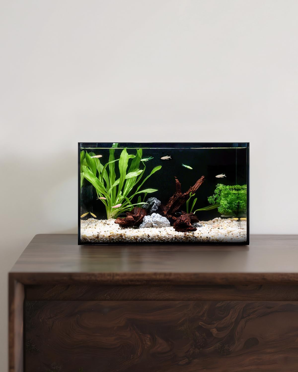 5 Gallon Clear Glass Fish Tank, Easy to Maintain Small Aquariumfor Betta, Goldfish, Snail,Shrimp and Aquatic Planting