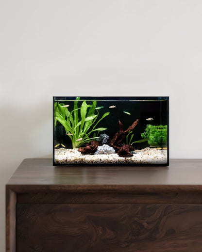 5 Gallon Clear Glass Fish Tank, Easy to Maintain Small Aquariumfor Betta, Goldfish, Snail,Shrimp and Aquatic Planting