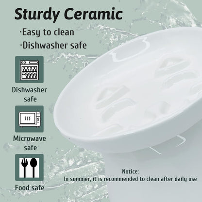 BNOSDM Raised Cat Slow Feeder Bowl and 2 Pcs Yellow Cat Dish for Cats and Dogs