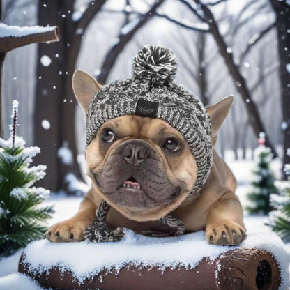 Polar Pom Pom Dog Winter Hat - Warm Knitted Pet Hat with Ear Holes & Long Tassel, Perfect for Small Dogs (Grey, Medium)