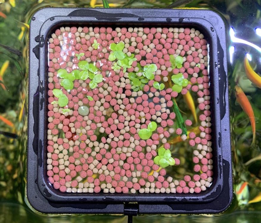 Magnetic Fish Feeding Ring, Floating Aquarium Feeder Ring for Fish Tank，Betta Feeding Ring for Goldfish, Guppy, Fresh/Saltwater Tanks- Prevents Food Scattering and Anti-Falling Off（Patented Product）