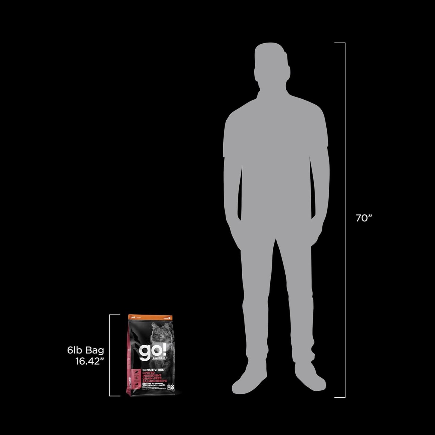 Go! Solutions Sensitivities Limited Ingredient, Grain-Free Dry Cat Food, Salmon Recipe for Sensitive Stomach, 6 lb Bag