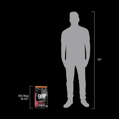 Go! Solutions Sensitivities Limited Ingredient, Grain-Free Dry Cat Food, Salmon Recipe for Sensitive Stomach, 6 lb Bag