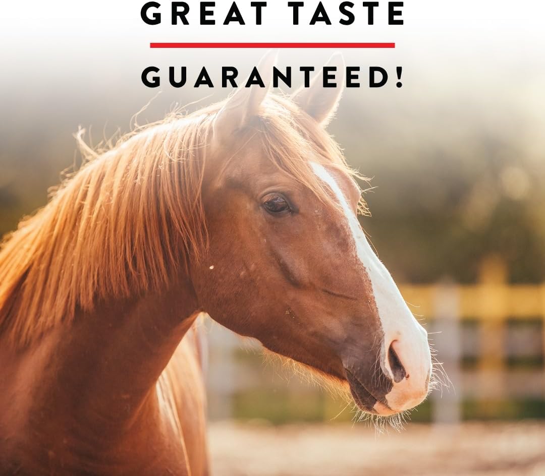 Manna Pro Apple Wafers - Treats for Horses - Packed with Vitamins & Minerals - Apple Flavored Horse Treats - 20 Pounds