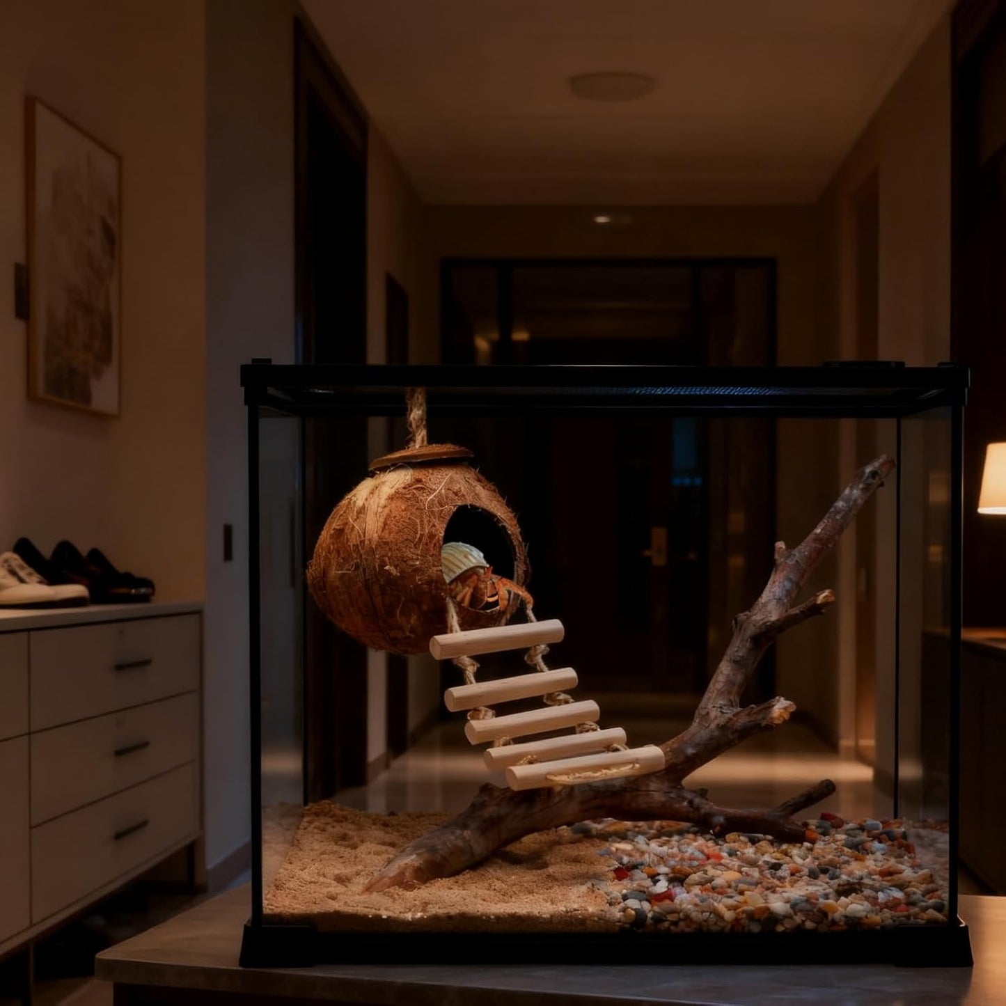 Gecko Tank Accessories Natural Coconut Shell Hut with Climbing Ladder & Suction Cup Hermit Crab Toys Reptile Hideout for Leopard Gecko Snake Lizard and Small Pets Habitat Decor