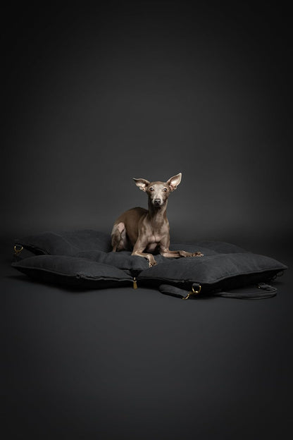 Noah & Paw Dog Car Seat Carrier, Small Dog Car Seat for Small Medium Pets with Harness Clip, 4X Safety Feature, Booster Travel Bed, Waterproof Washable, Orthopedic Foam Filling, Canvas Collection