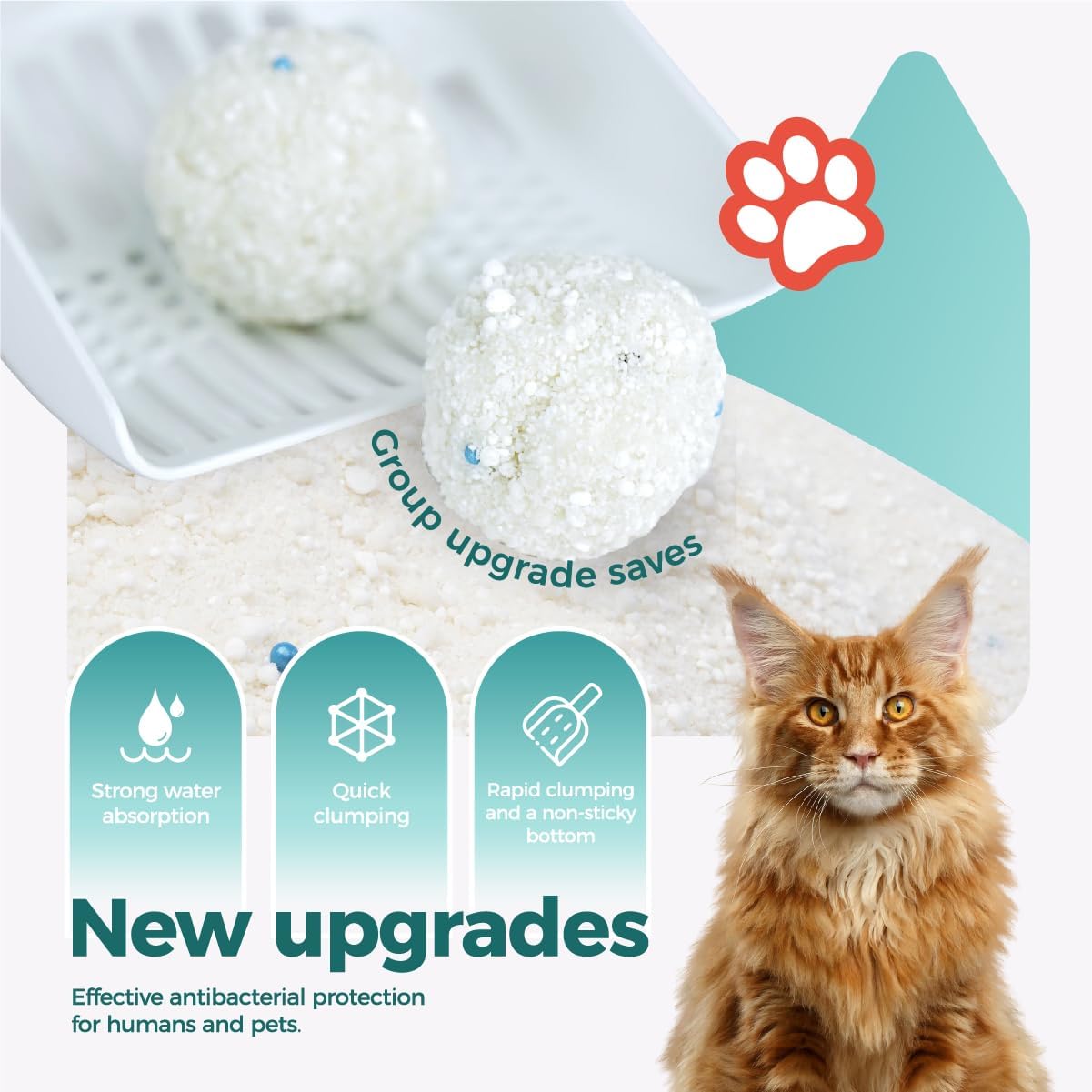 Tapioca Cat Litter, Cassava Cat Litter Odor Control Dust-Free Clumping Litter
