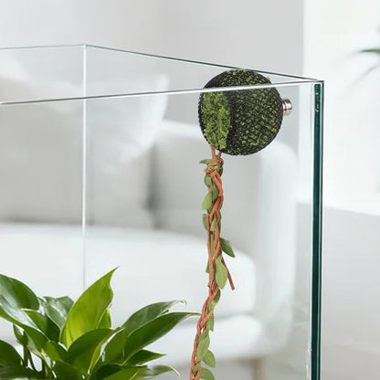 Magnetic Reptile Hide with Strong Magnets, Small Amphibian Hideout Enclosure Accessory for Jumping Spiders Tarantulas & Pet Spider Terrarium Decor