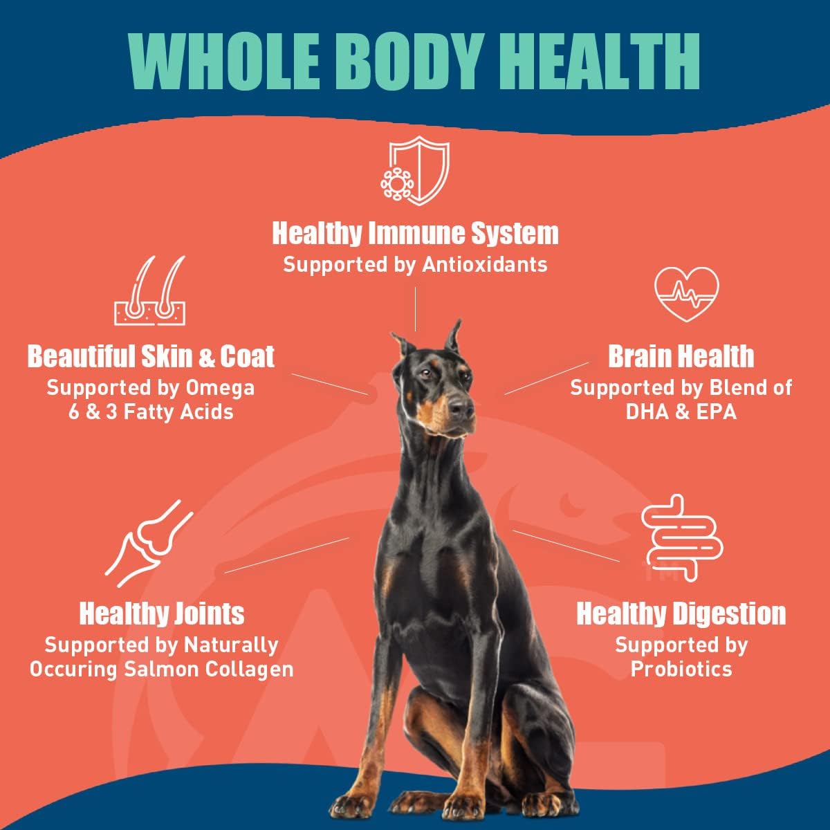 SUPER3+ (Salmon Freeze Dried Raw Salmon Fish Oil) Dry Dog Food | Puppy & Adult | Small & Large Breed | High-Protein | Grain-Free | All-Natural Nutrition | 20-lbs