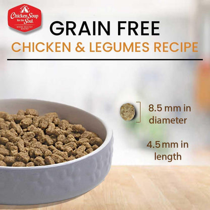 Chicken Soup for the Soul All Natural Premium Grain-Free All Life Stage Dry Cat Food, Real Meat First Ingredient, No By-Products, Supports Immune & GI Health, Chicken & Legumes, 4lb