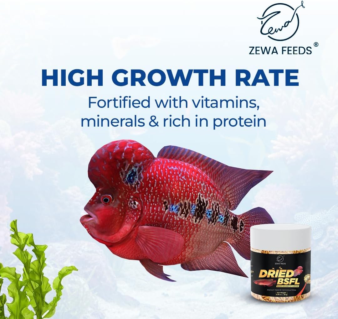 Dried Black Soldier Fly Larvae - 100% Natural Protein Rich Fish Food for Arowana, Flower Horn, Oscar, Redtail Shark (20 g/ 0.7 Oz/100 ml) (Pack of 2)