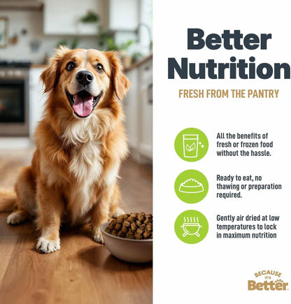 Because It's Better Slow Baked and Air Dried Dog Food, Real Chicken and Veggies, 3lb Bag, Complete and Balanced Dry Dog Food, for All Life Stages